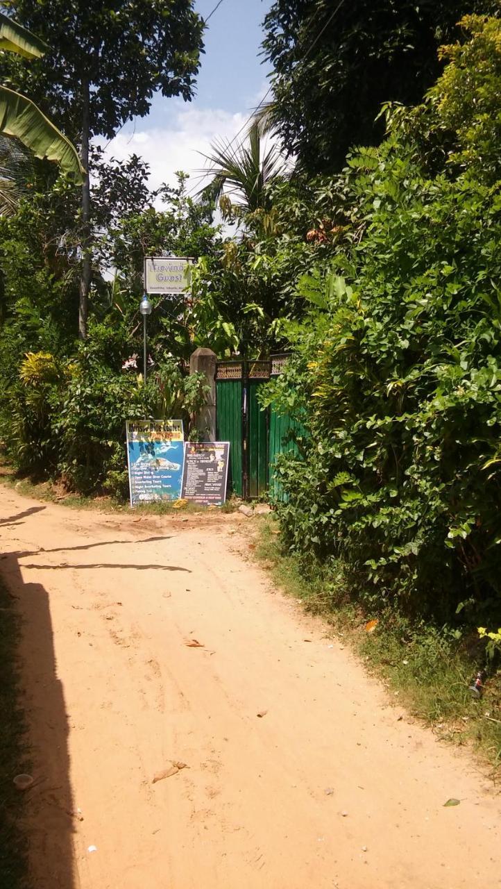 Thevindu Guest & Redmud Resturent Banduramulla Exterior photo